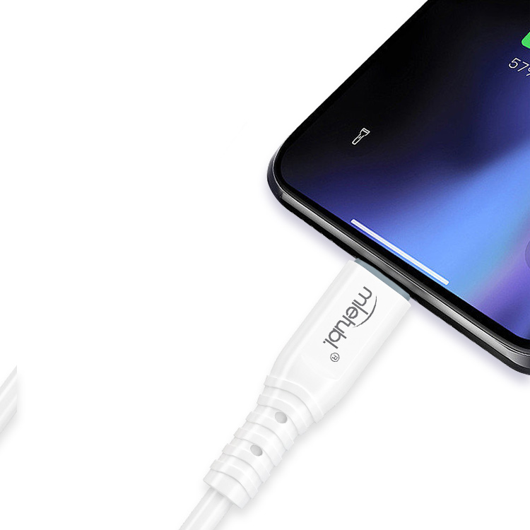PD30W TYPE-C to TYPE-C charging cable