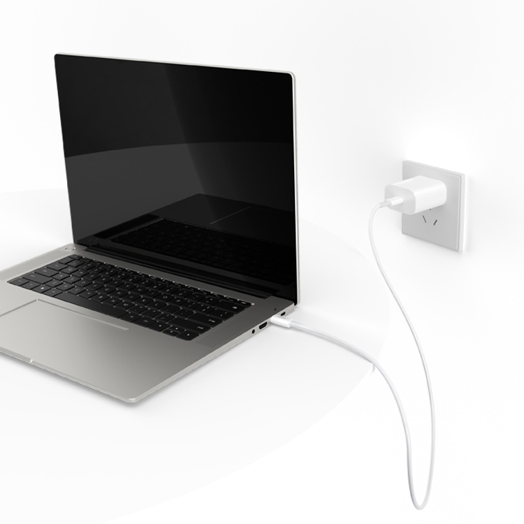 PD30W TYPE-C to TYPE-C charging cable