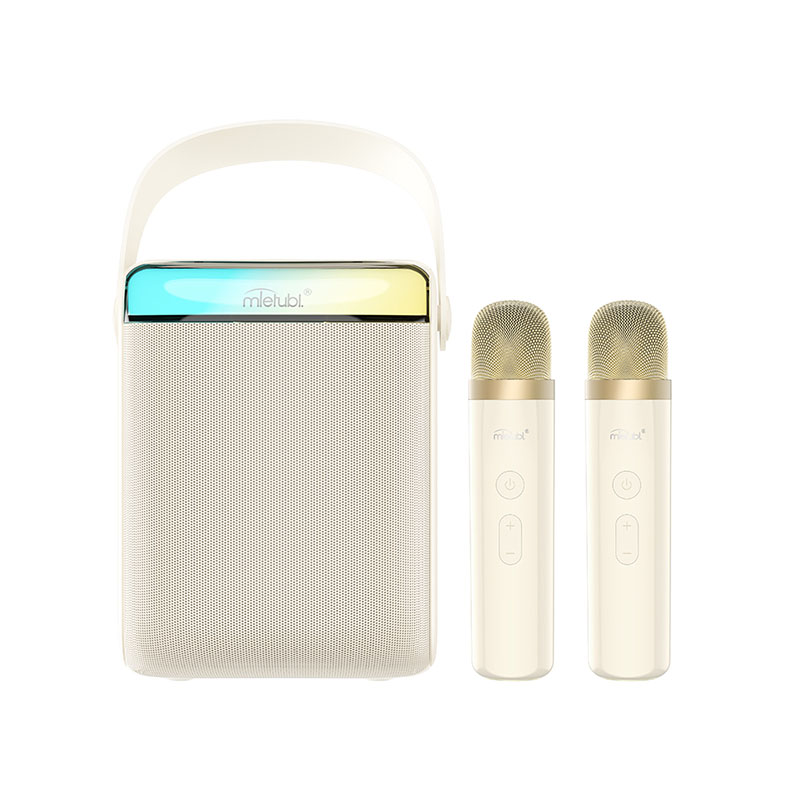Portable Karaoke Speaker