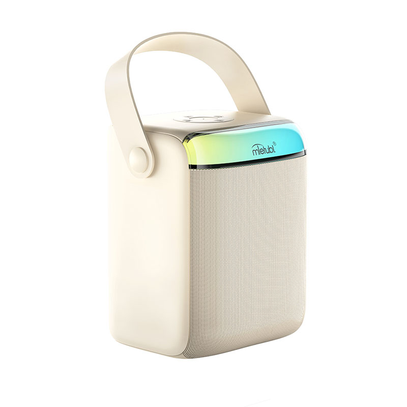 Portable Karaoke Speaker