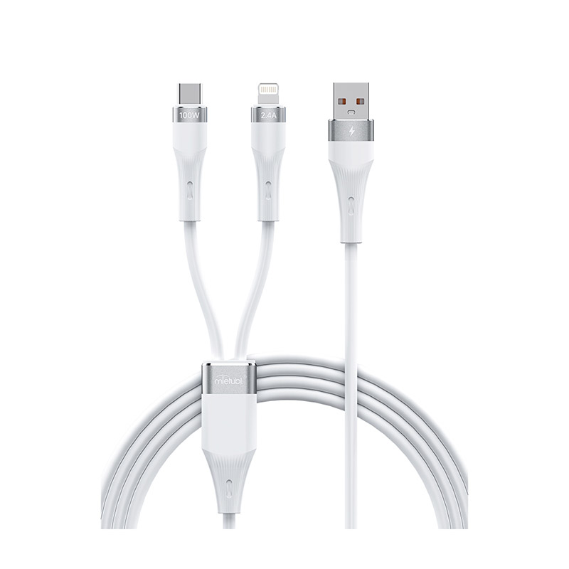 Type-C & Lightning 2-in-1 charging cable