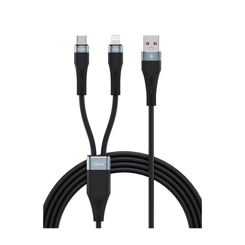 Type-C & Lightning 2-in-1 charging cable