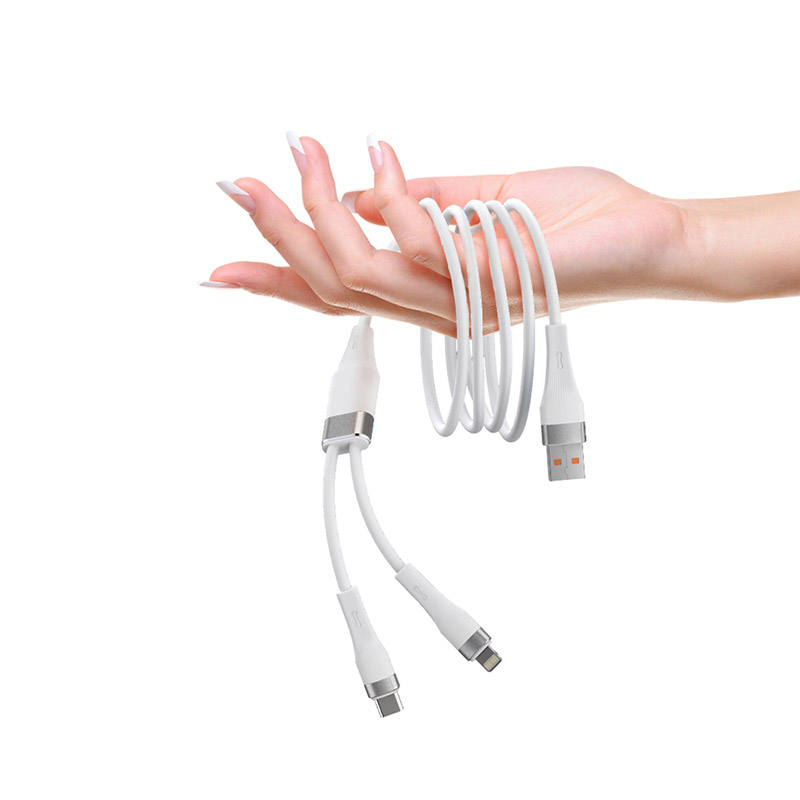 Type-C & Lightning 2-in-1 charging cable