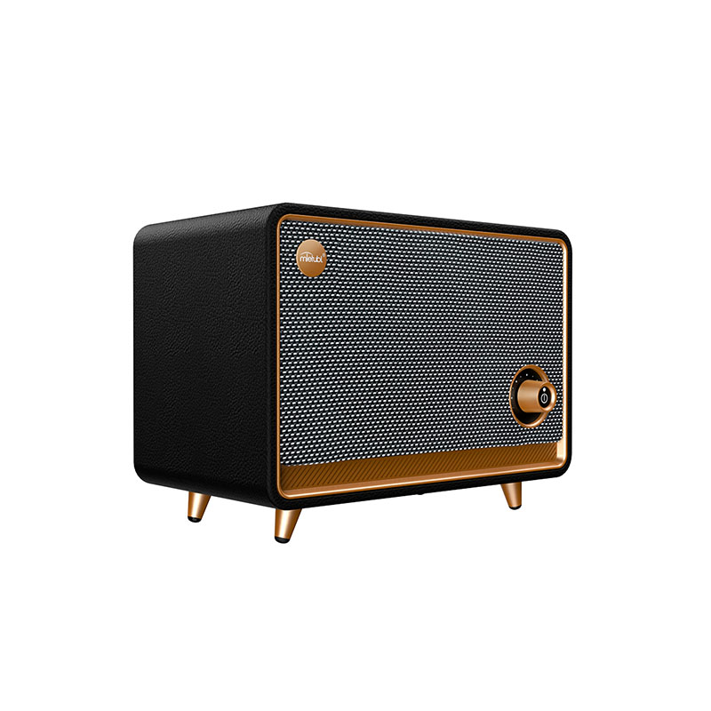 Home Hi-Fi Bluetooth speaker