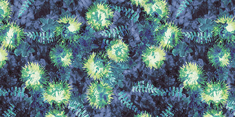 Flash Transparent Relief