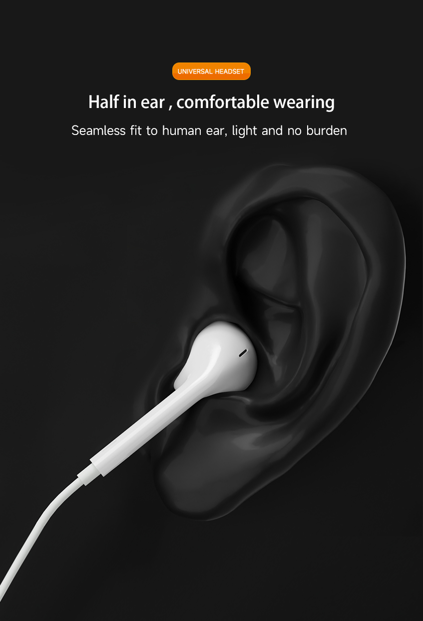 Wired earphones with mic