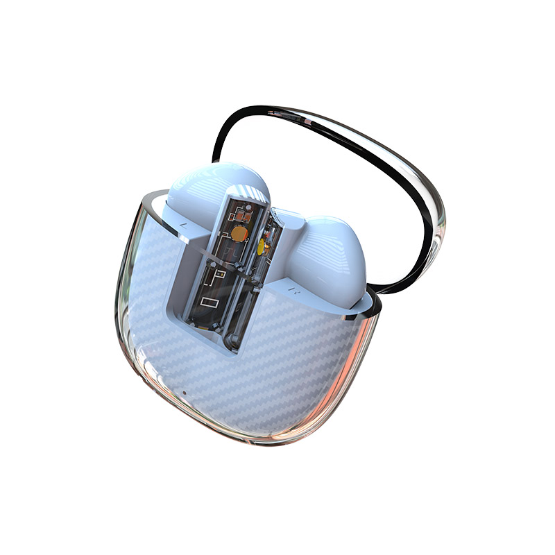 Earbuds with transparent case