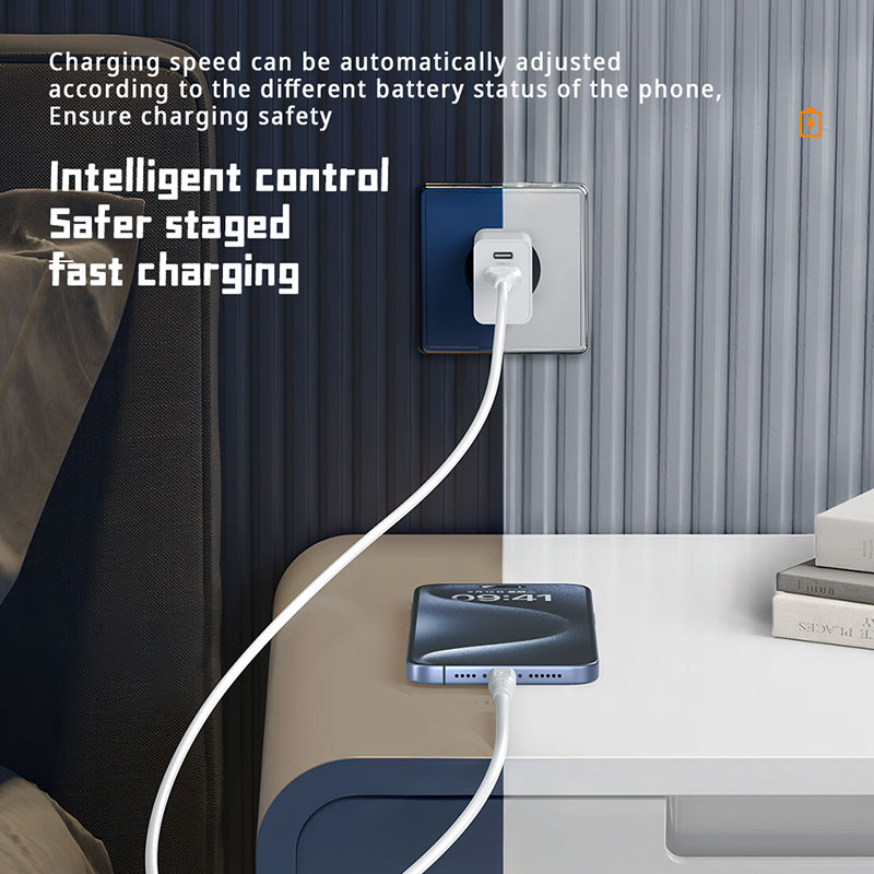 GaN Charger