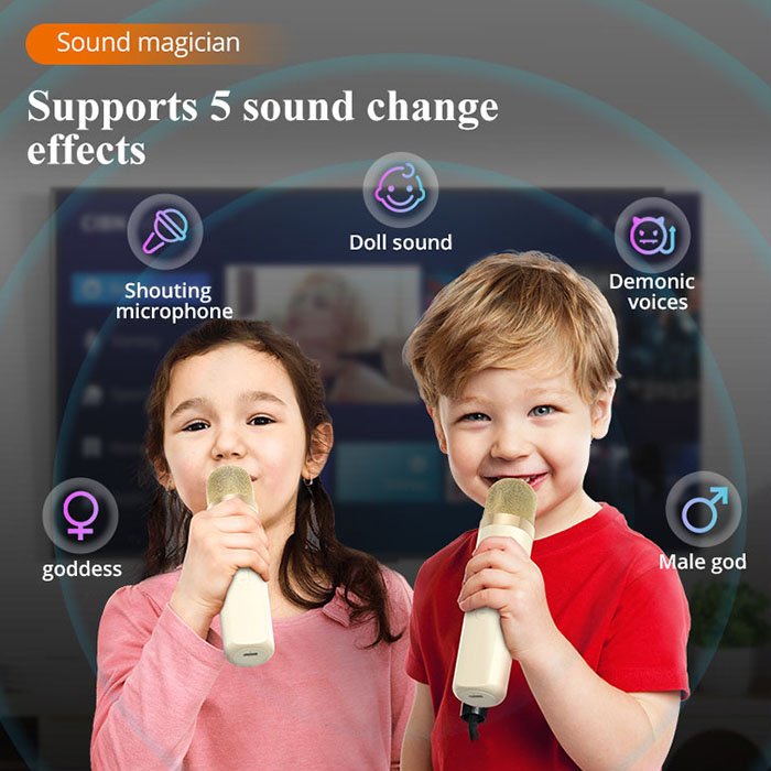 Multiple sound effects of Portable Karaoke Speaker with 