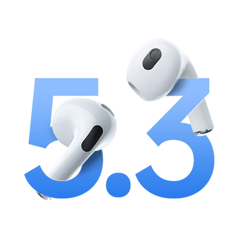 Bluetooth wireless earbuds
